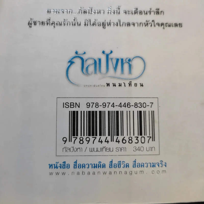 กัลปังหา - พนมเทียน รูปที่ 12
