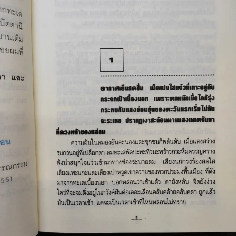 กัลปังหา - พนมเทียน รูปที่ 10