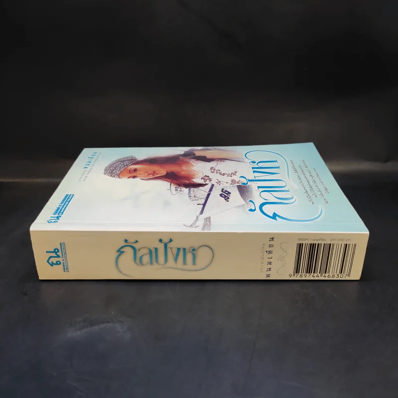 กัลปังหา - พนมเทียน รูปที่ 3