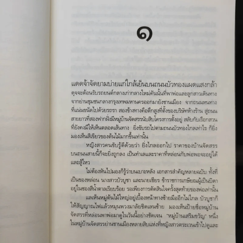 ในสวนขวัญ - ดวงตะวัน รูปที่ 11
