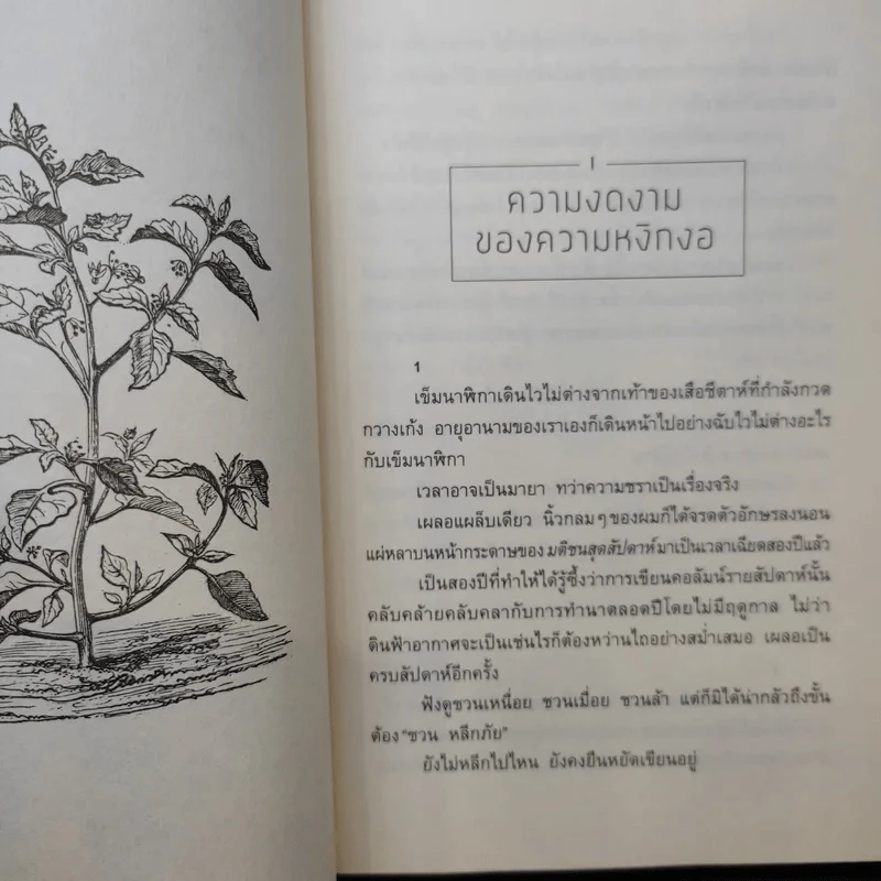 ความสุขโดยสังเกต - นิ้วกลม รูปที่ 12