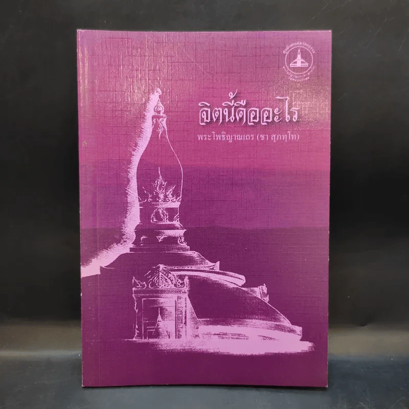 จิตนี้คืออะไร - พระโพธิญาณเถร (ชา สุภทโท) รูปที่ 1