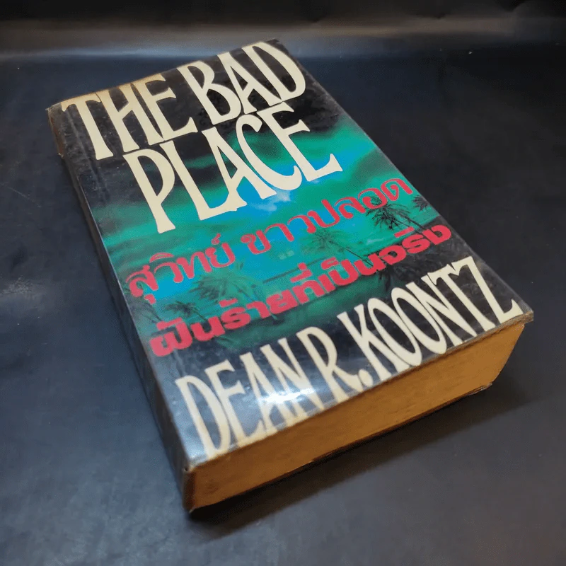 The Bad Place ฝันร้ายที่เป็นจริง - สุวิทย์ ขาวปลอด แปล รูปที่ 8