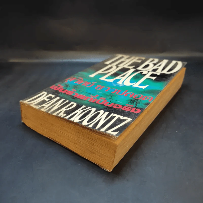The Bad Place ฝันร้ายที่เป็นจริง - สุวิทย์ ขาวปลอด แปล รูปที่ 7