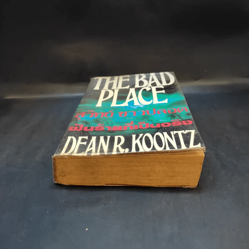 The Bad Place ฝันร้ายที่เป็นจริง - สุวิทย์ ขาวปลอด แปล รูปที่ 4