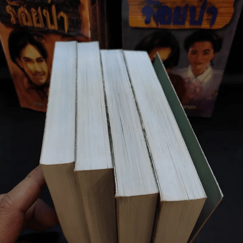 Boxset ร้อยป่า 12 เล่มจบ - อรชร พันธุ์ บางกอก รูปที่ 6