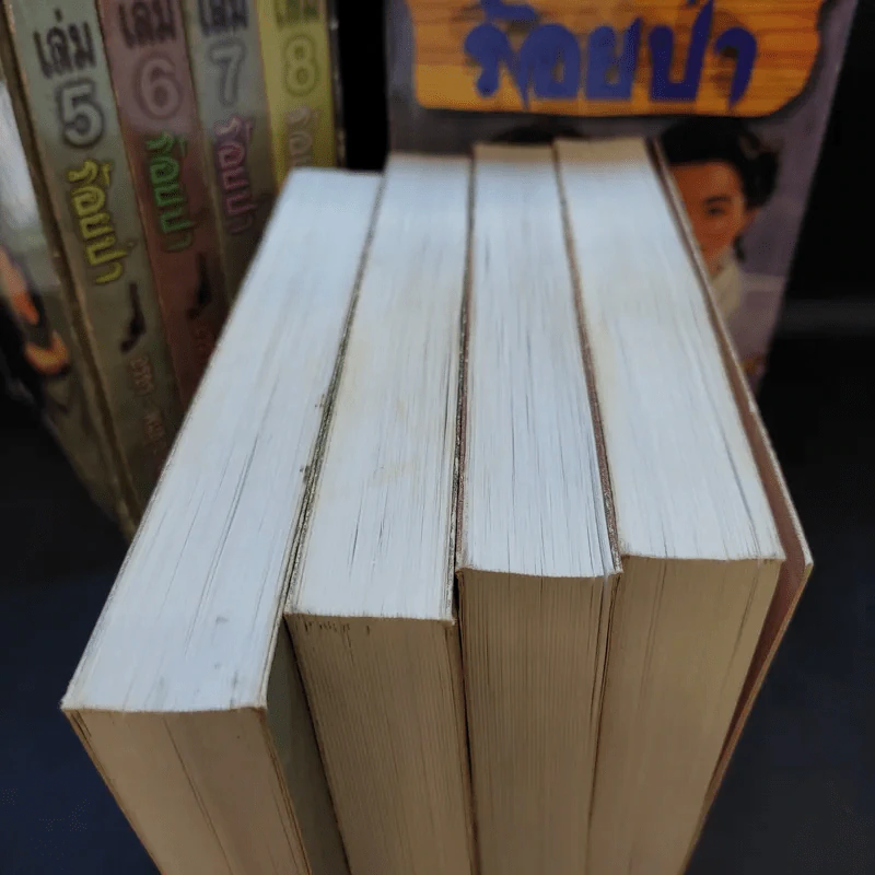 Boxset ร้อยป่า 12 เล่มจบ - อรชร พันธุ์ บางกอก รูปที่ 8