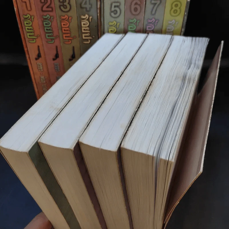 Boxset ร้อยป่า 12 เล่มจบ - อรชร พันธุ์ บางกอก รูปที่ 10