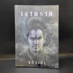 เงาพราย - แก้วเก้า รูปที่ 1