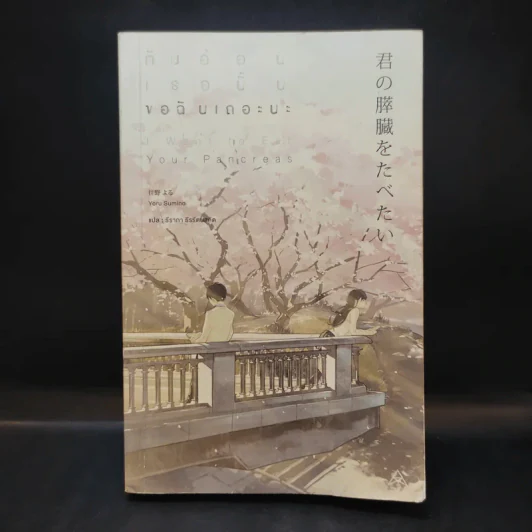 ตับอ่อนเธอนั้นขอฉันเถอะนะ : I Want to Eat Your Pancreas - Yoru Sumino (โยรุ ซูมิโนะ) รูปที่ 1