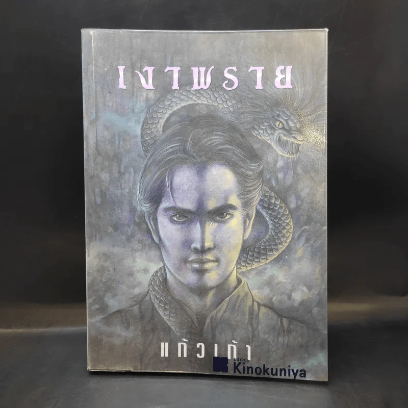 เงาพราย - แก้วเก้า รูปที่ 1