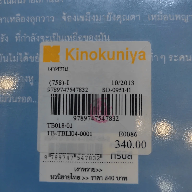 เงาพราย - แก้วเก้า รูปที่ 12