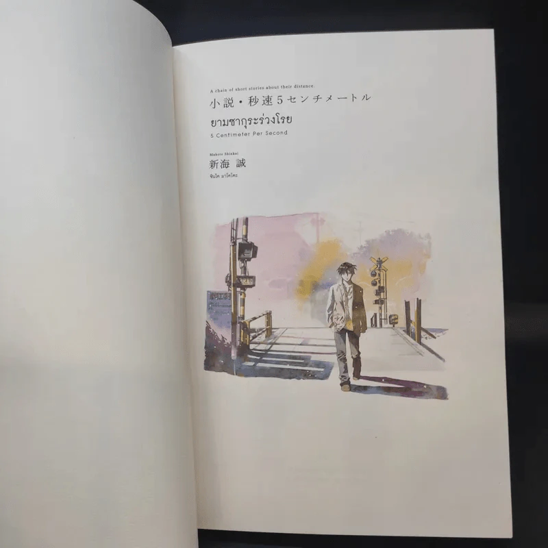 ยามซากุระร่วงโรย - Makoto Shinkai (มาโคโตะ ชินไค) รูปที่ 8