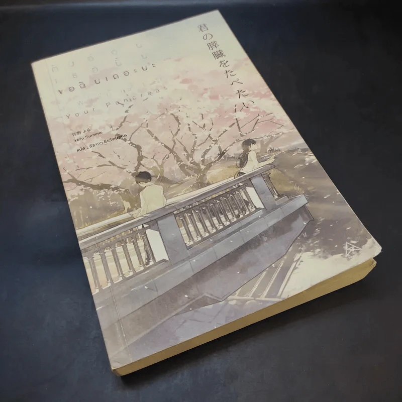 ตับอ่อนเธอนั้นขอฉันเถอะนะ : I Want to Eat Your Pancreas - Yoru Sumino (โยรุ ซูมิโนะ) รูปที่ 8