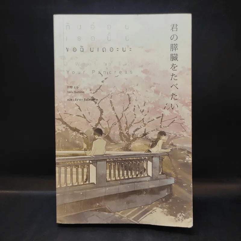 ตับอ่อนเธอนั้นขอฉันเถอะนะ : I Want to Eat Your Pancreas - Yoru Sumino (โยรุ ซูมิโนะ) รูปที่ 1