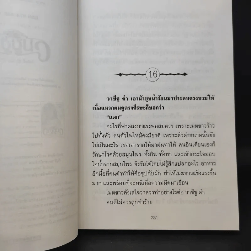 เมฆขาว 2 เล่มจบ - โรสลาเรน รูปที่ 13