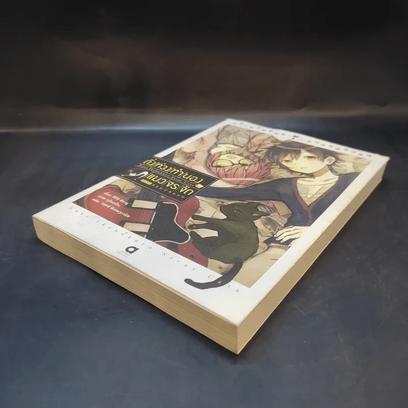 ดั่งท่วงทำนองของแมวจรจัด - Hikaru Sugii (สึกิอิ ฮิคารุ) รูปที่ 7