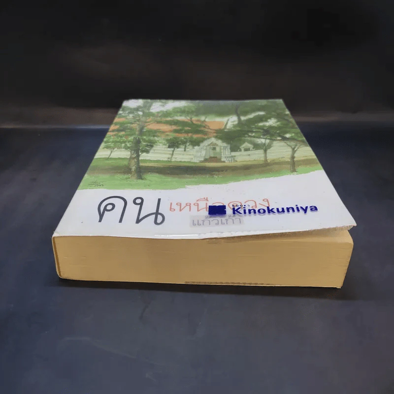 คนเหนือดวง - แก้วเก้า รูปที่ 4