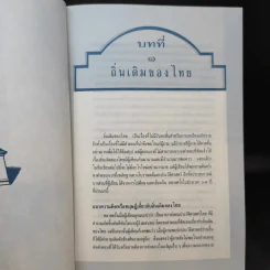 ไทยสมัยโบราณถิ่นเดิมและน่านเจ้า - รองศาสตราจารย์วุฒิชัย มูลศิลป์ รูปที่ 10