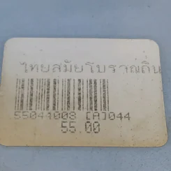 ไทยสมัยโบราณถิ่นเดิมและน่านเจ้า - รองศาสตราจารย์วุฒิชัย มูลศิลป์ รูปที่ 12