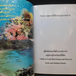 โครงการอุทยานใต้ทะเล จุฬาภรณ์ 36 คู่มือสัตว์และพืชในแนวปะการัง หมู่เกาะสุรินทร์และสิมิลัน รูปที่ 9
