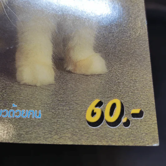 Pet-Mag นิตยสารสัตว์เลี้ยง ปีที่ 1 ฉบับที่ 2 ส.ค.2542 รูปที่ 11