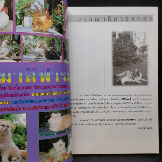 Pet-Mag นิตยสารสัตว์เลี้ยง ปีที่ 1 ฉบับที่ 2 ส.ค.2542 รูปที่ 7