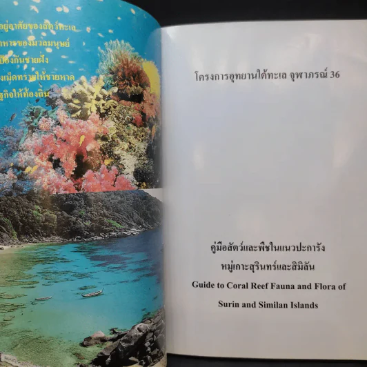 โครงการอุทยานใต้ทะเล จุฬาภรณ์ 36 คู่มือสัตว์และพืชในแนวปะการัง หมู่เกาะสุรินทร์และสิมิลัน รูปที่ 9