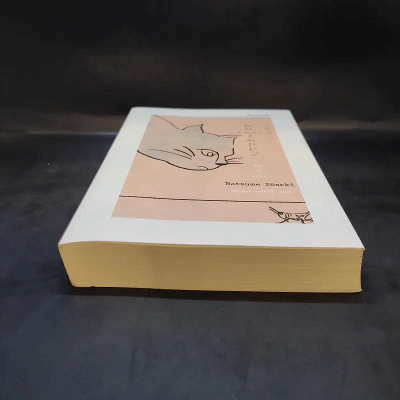 อันตัวข้าพเจ้านี้คือแมว : I Am a Cat - Natsume Soseki (นัตสึเมะ โซเซกิ) รูปที่ 4