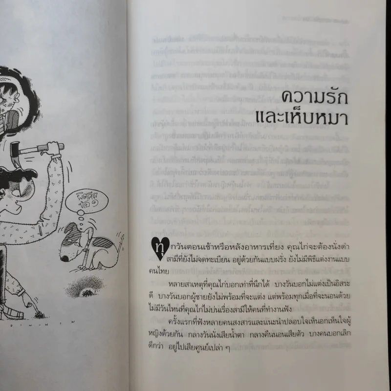 เกาเหลารัก - ชาติ ภิรมย์กุล รูปที่ 11