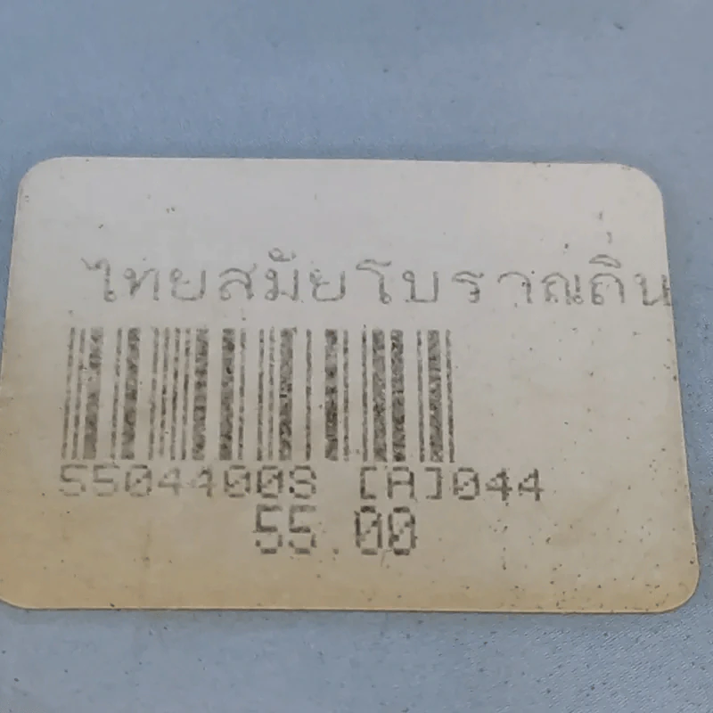 ไทยสมัยโบราณถิ่นเดิมและน่านเจ้า - รองศาสตราจารย์วุฒิชัย มูลศิลป์ รูปที่ 12
