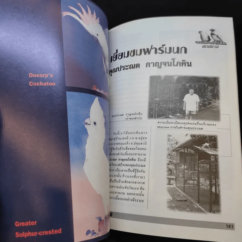 Pet-Mag นิตยสารสัตว์เลี้ยง ปีที่ 1 ฉบับที่ 2 ส.ค.2542 รูปที่ 10