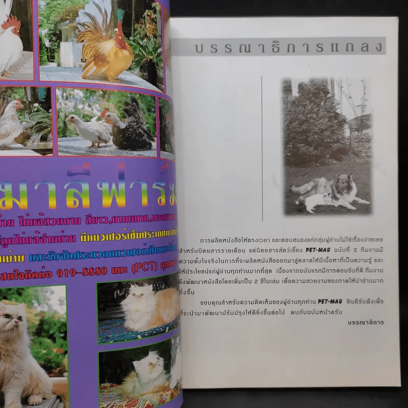 Pet-Mag นิตยสารสัตว์เลี้ยง ปีที่ 1 ฉบับที่ 2 ส.ค.2542 รูปที่ 7