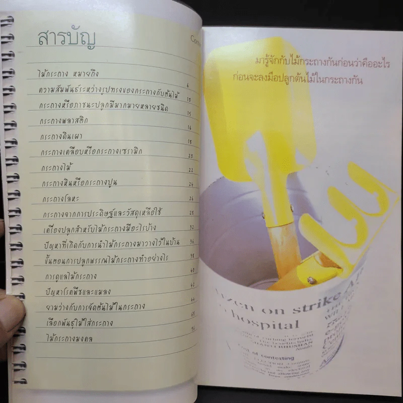 ร้อยพรรณพฤกษา ไม้กระถาง รูปที่ 11