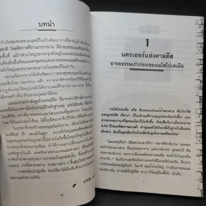 นครพิศวง - ธวัชชัย ดุลยสุจริต รูปที่ 12