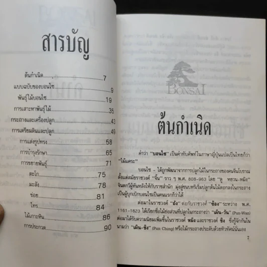 บอนไซ Bonsai - ชาง ตันสกุล รูปที่ 10