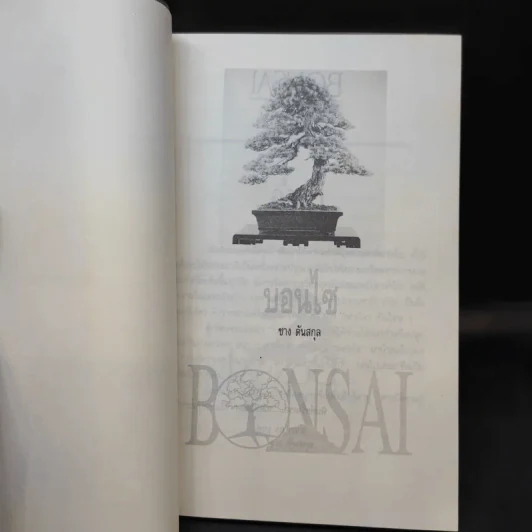 บอนไซ Bonsai - ชาง ตันสกุล รูปที่ 8