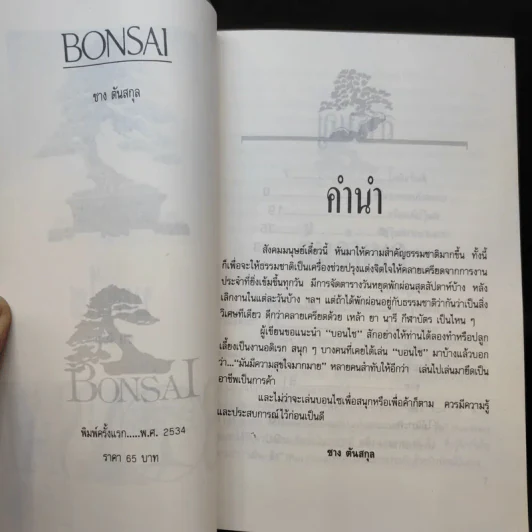 บอนไซ Bonsai - ชาง ตันสกุล รูปที่ 9