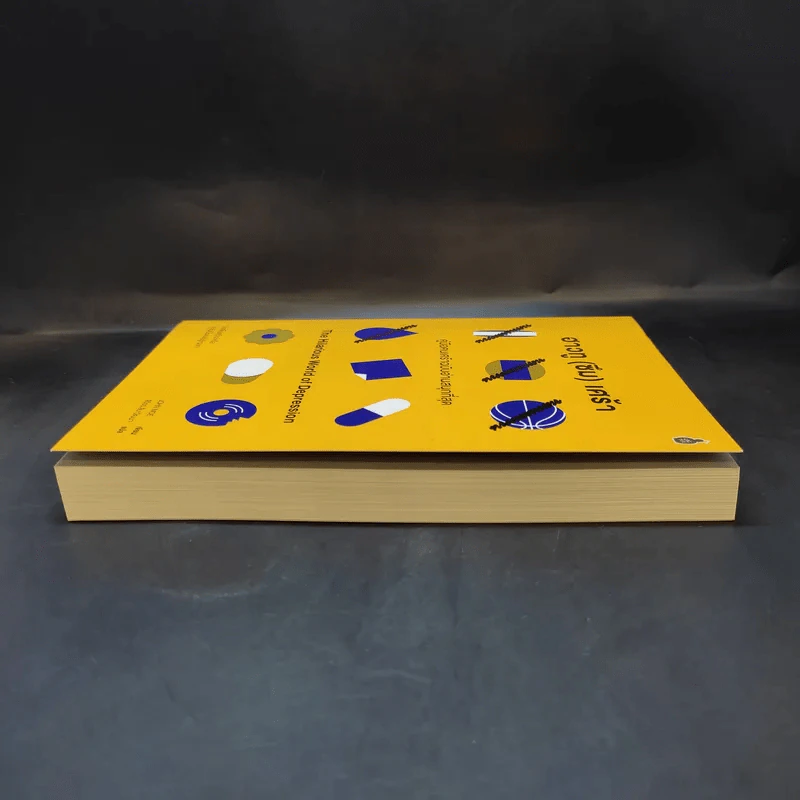 ฮาวทู(ซึม)เศร้า: คู่มือคนเศร้าฉบับอ่านสนุกที่สุด - John Moe รูปที่ 5