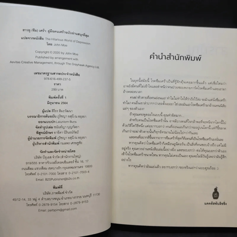 ฮาวทู(ซึม)เศร้า: คู่มือคนเศร้าฉบับอ่านสนุกที่สุด - John Moe รูปที่ 10