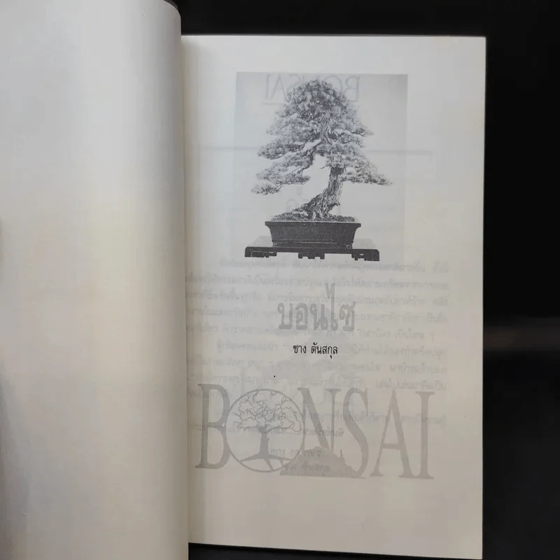 บอนไซ Bonsai - ชาง ตันสกุล รูปที่ 8