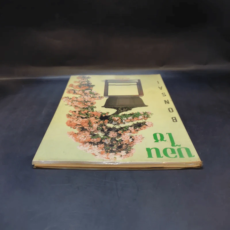 บอนไซ Bonsai - ชาง ตันสกุล รูปที่ 6