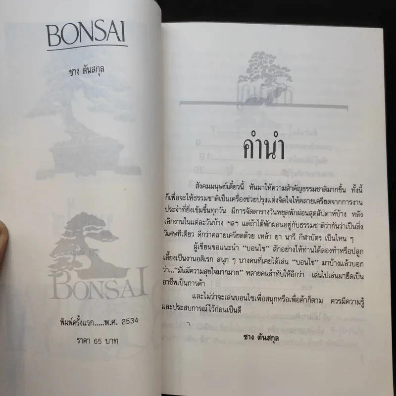 บอนไซ Bonsai - ชาง ตันสกุล รูปที่ 9