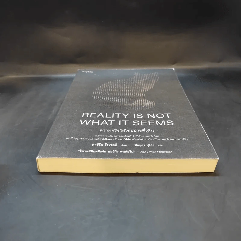ความจริงไม่ใช่อย่างที่เห็น - Carlo Rovelli (คาร์โล โรเวลลี) รูปที่ 3