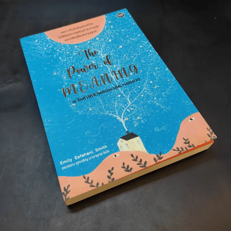 อะไรทำให้ชีวิตคนเรามีความหมาย : The Power of Meaning - Emily Esfahani Smith (เอมิลี่ เอสฟาฮานี สมิธ) รูปที่ 8