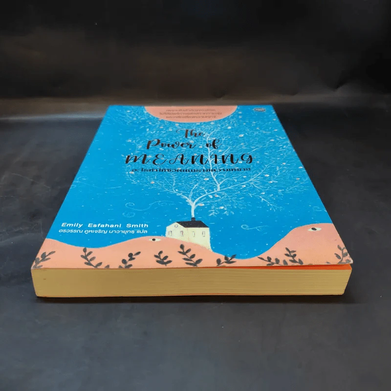 อะไรทำให้ชีวิตคนเรามีความหมาย : The Power of Meaning - Emily Esfahani Smith (เอมิลี่ เอสฟาฮานี สมิธ) รูปที่ 4