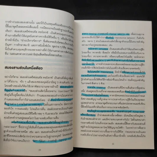 12 กฎทองของคนใช้สมองเป็น Brain Rules - John Medina รูปที่ 14