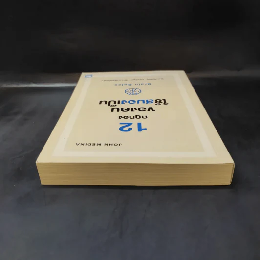 12 กฎทองของคนใช้สมองเป็น Brain Rules - John Medina รูปที่ 6