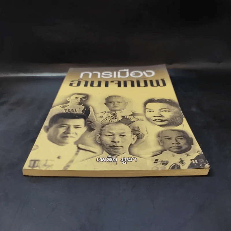 การเมือง อำนาจทมิฬ - เพลิง ภูผา รูปที่ 4