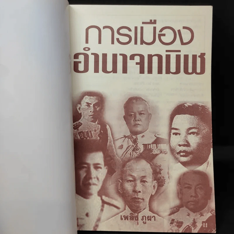 การเมือง อำนาจทมิฬ - เพลิง ภูผา รูปที่ 8